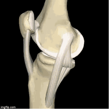 com&app=2002&size=f9999,10000&q=a80&n=0&g=0n