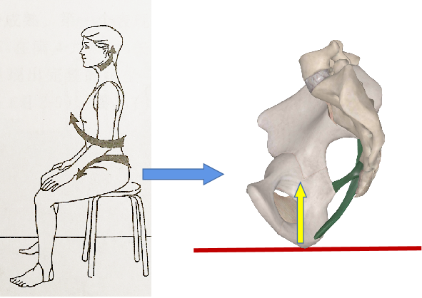 骶尾部痛与懒散坐姿_疼痛_介绍_缓解方法 - 好大夫在线