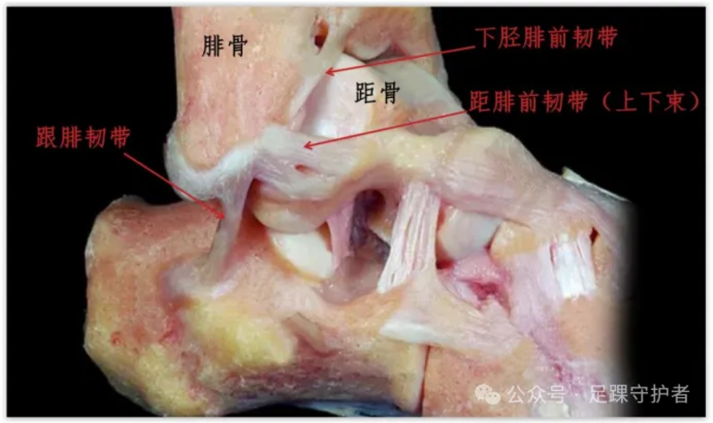 圖文圖片