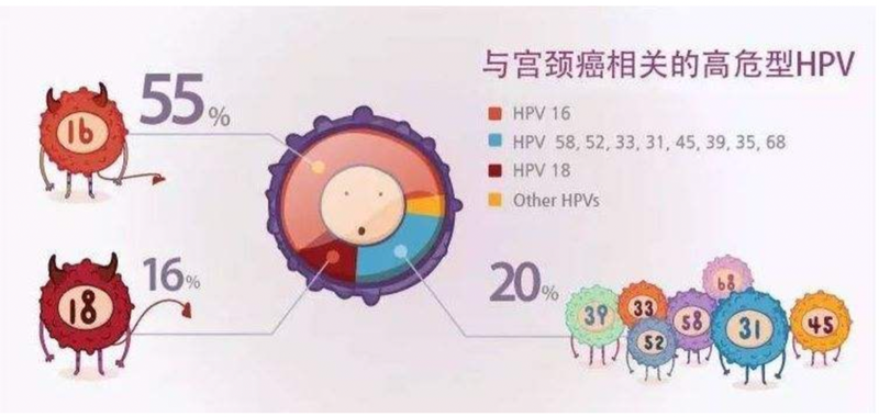 圖文圖片