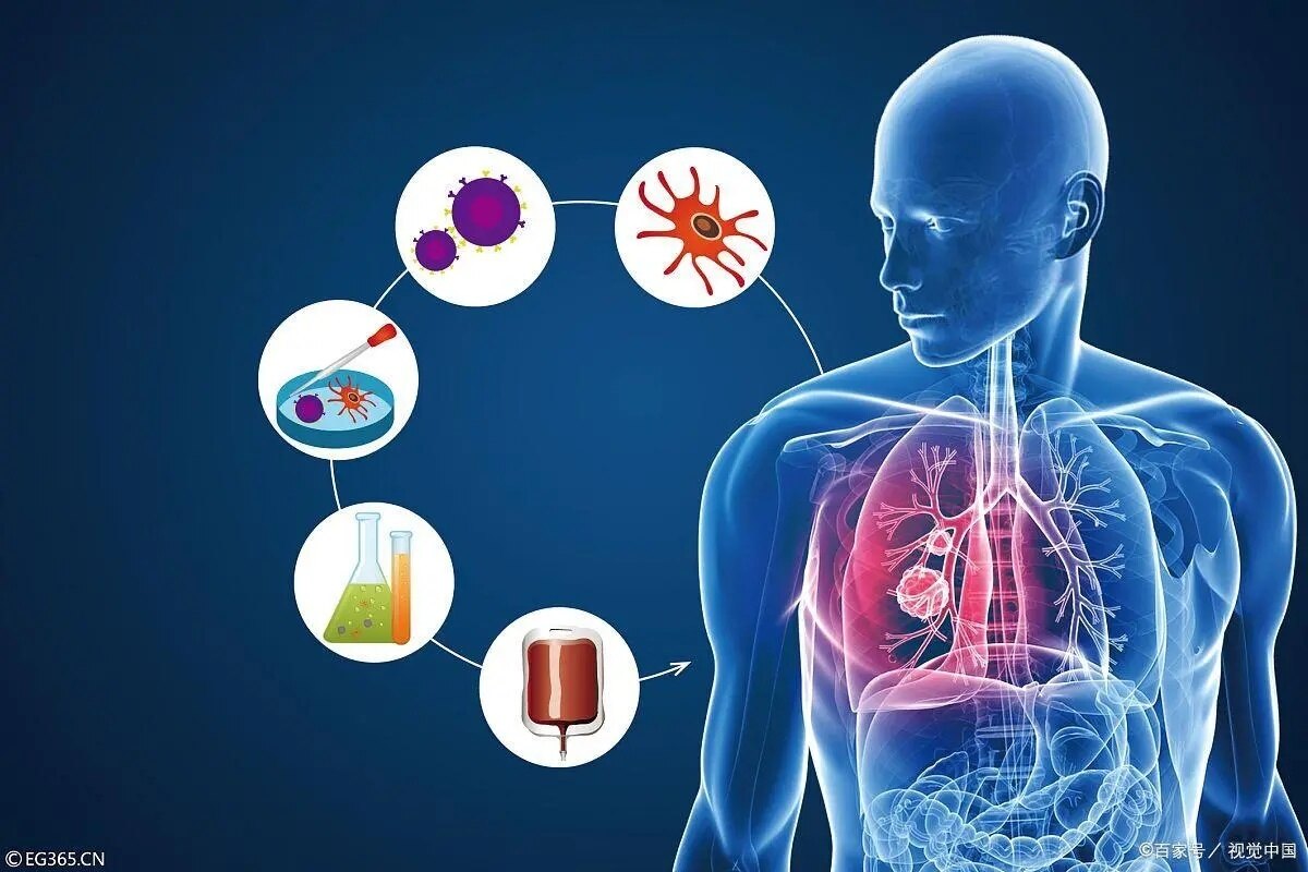 靶向治疗与免疫治疗是什么?二者有什么区别? - 好大夫在线