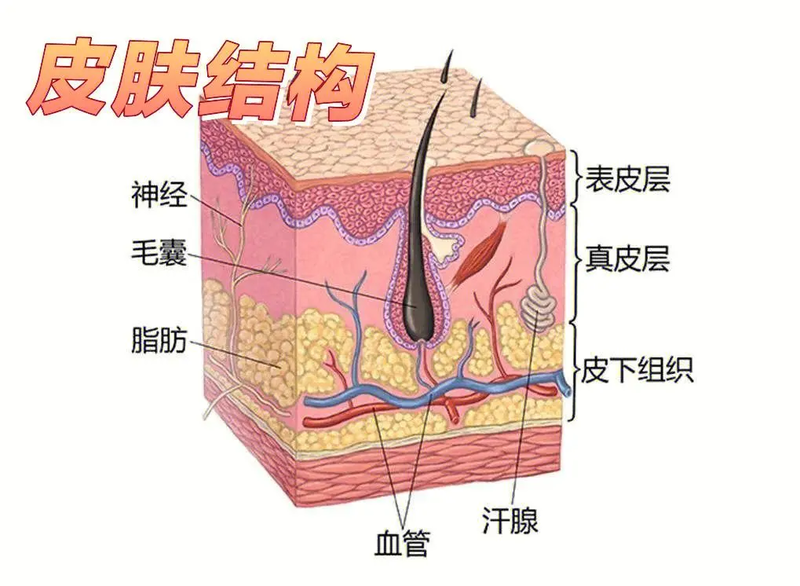 圖文圖片