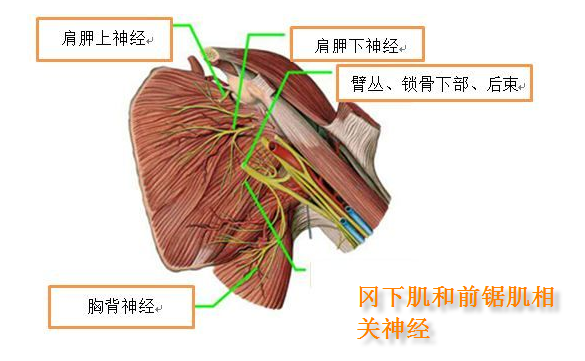 圖文圖片
