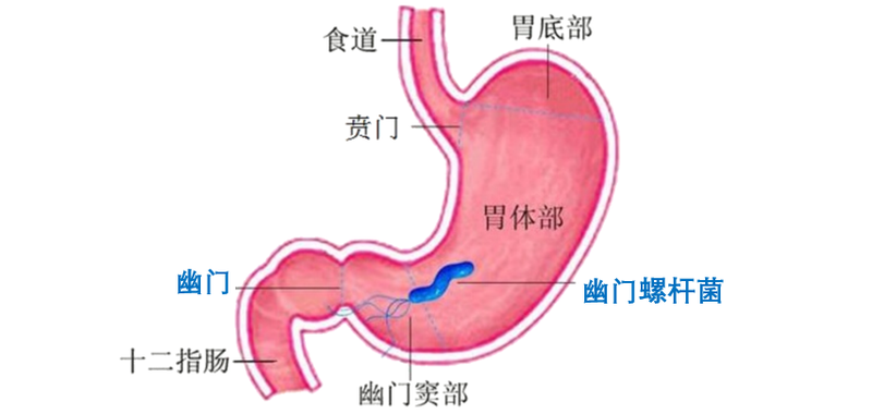 圖文圖片