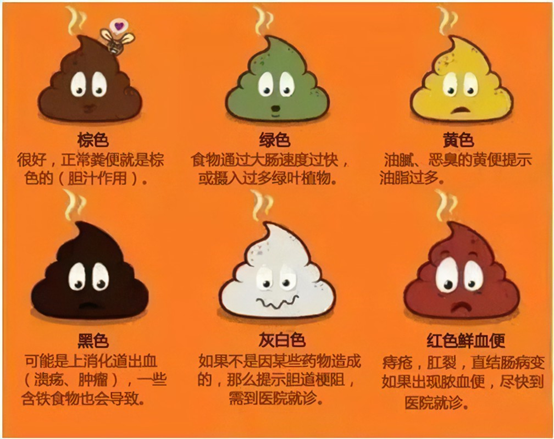你今天正常排便了吗?_便秘_便秘症状表现 - 好大夫在线