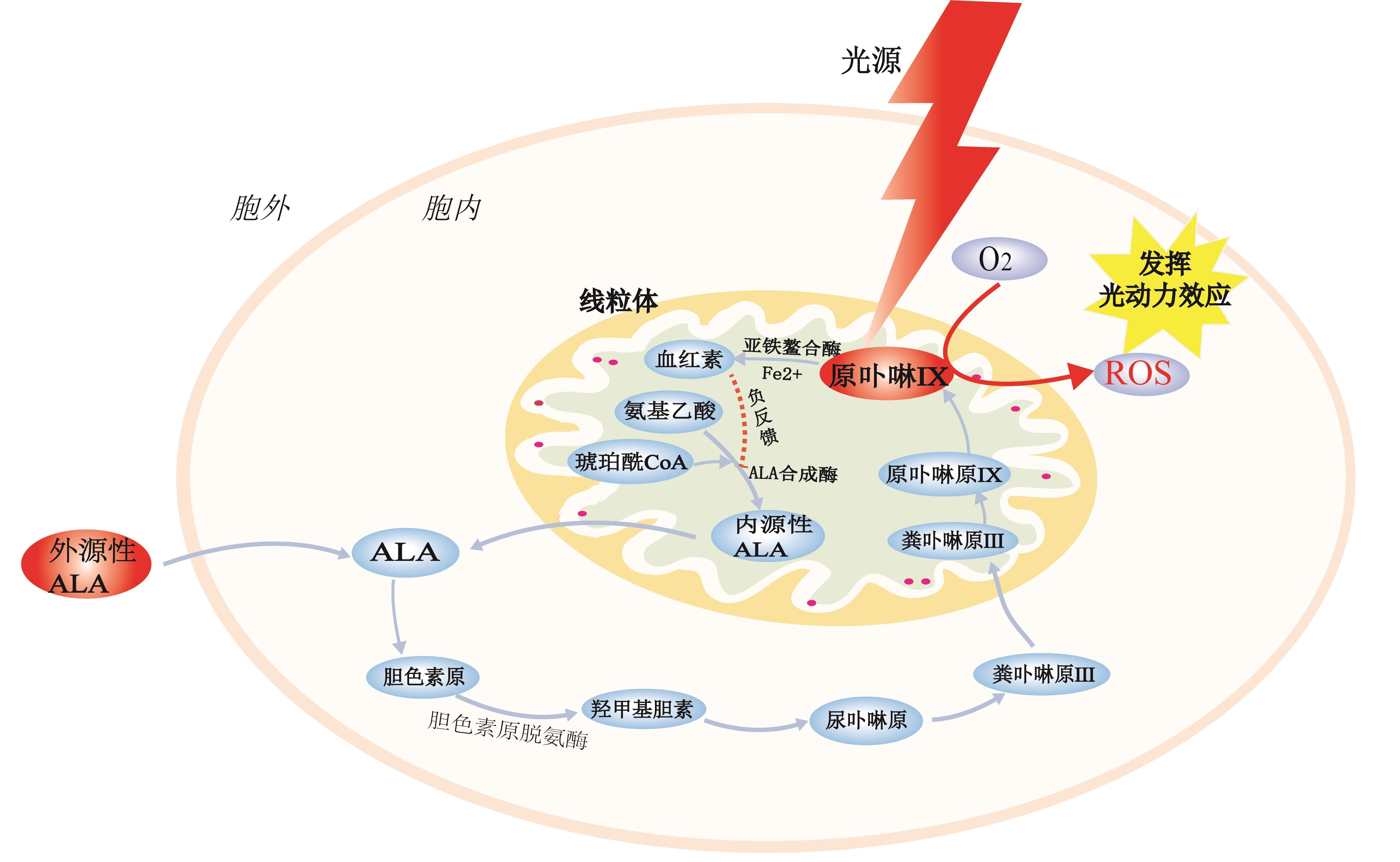 机制图.jpg