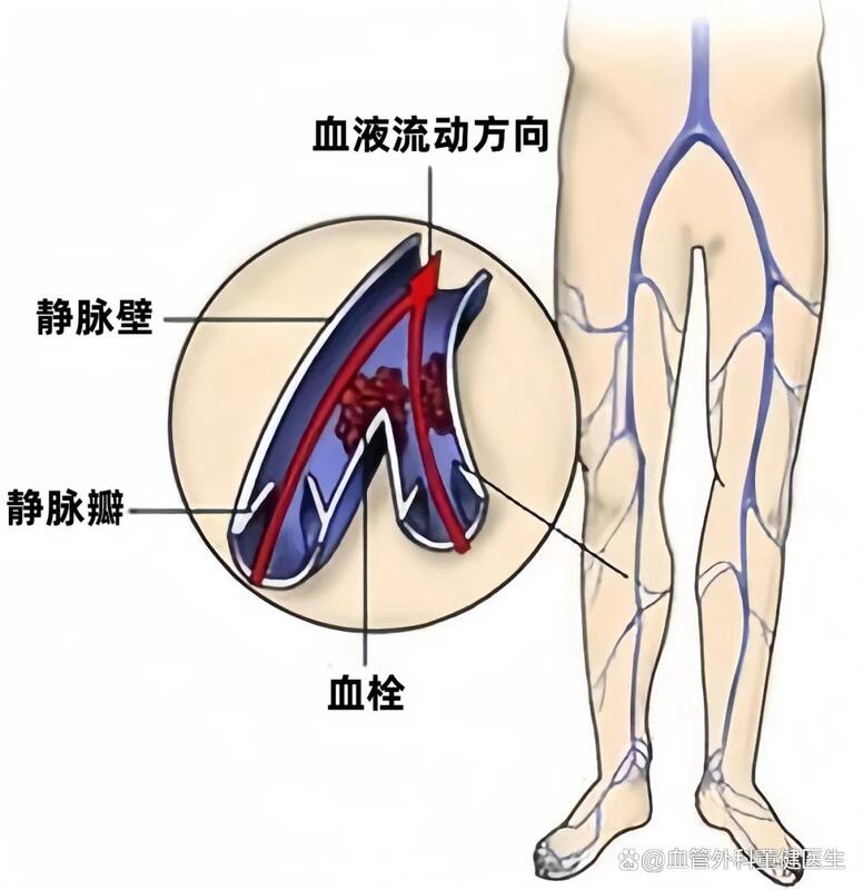 图文图片