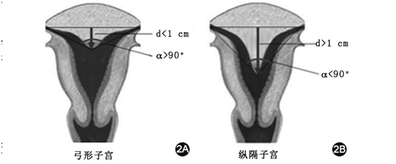 Alipay