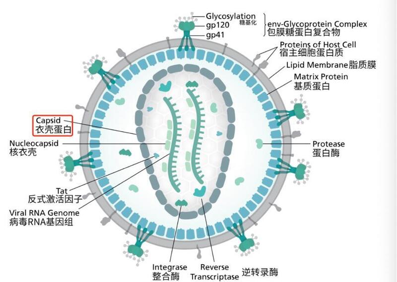 圖文圖片