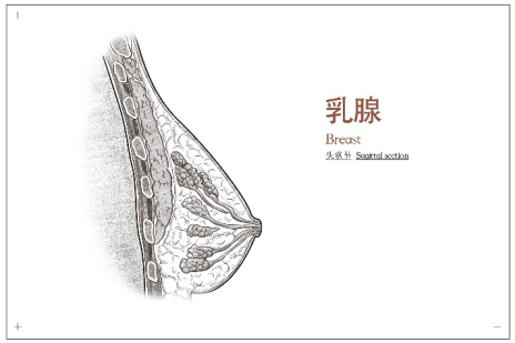圖文圖片