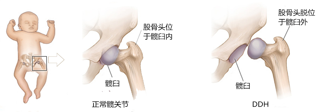 微信图片_20220918112445.png