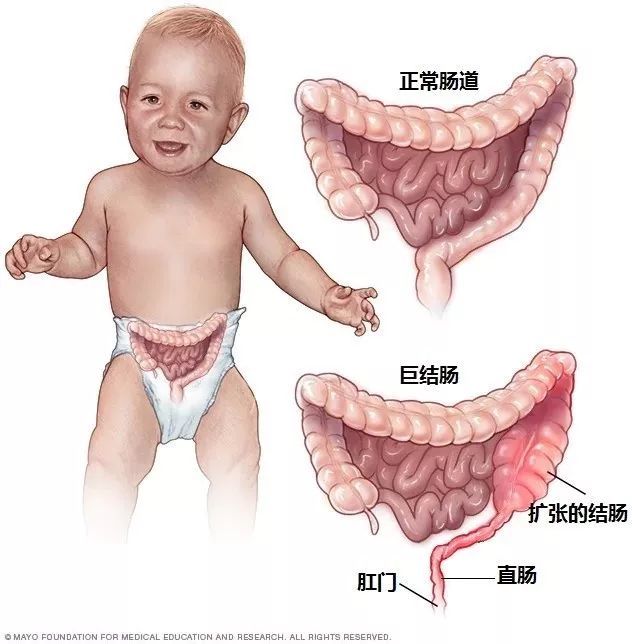 圖文圖片