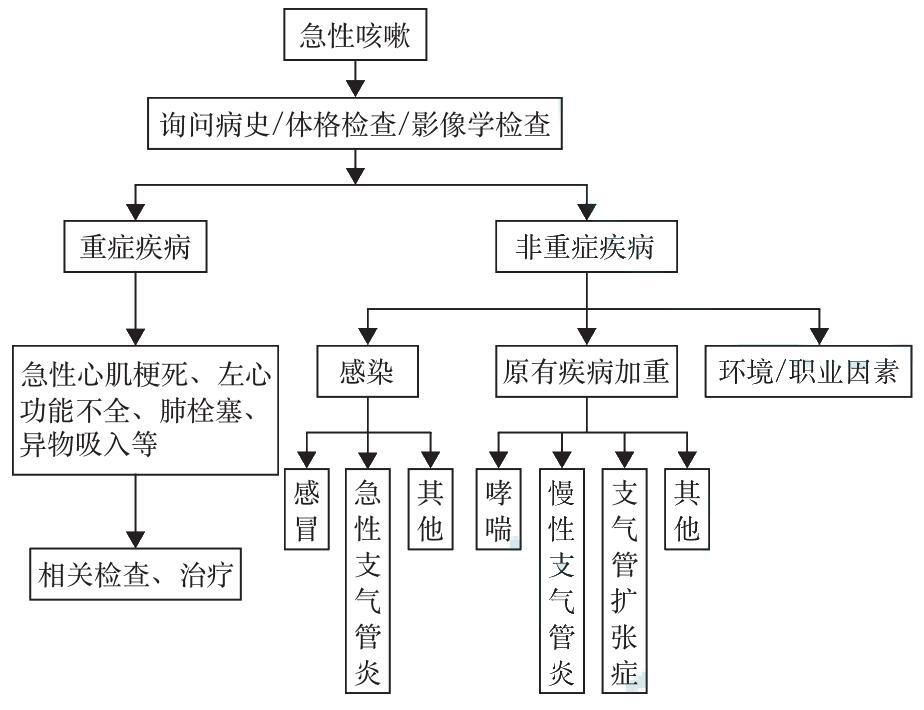 急性咳嗽的诊断流程图.jpg