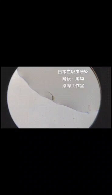 視頻封面