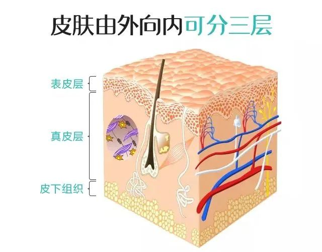 圖文圖片