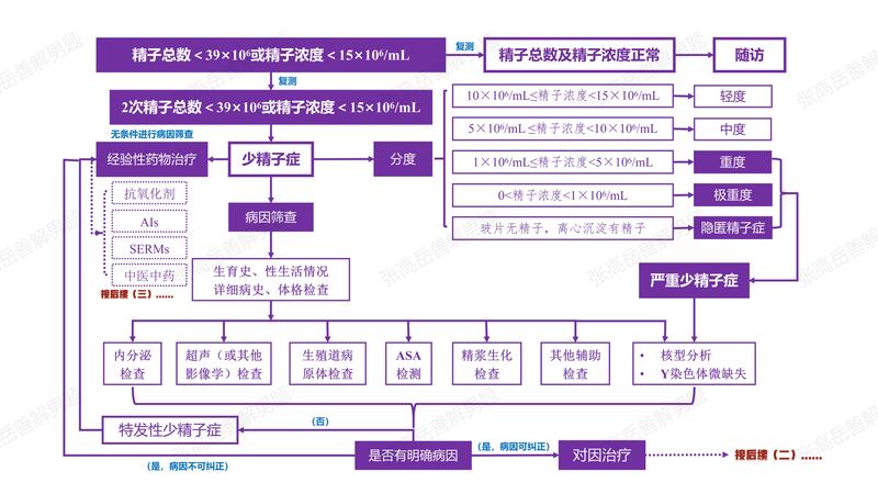 男性不育：少精子症（总）.jpg