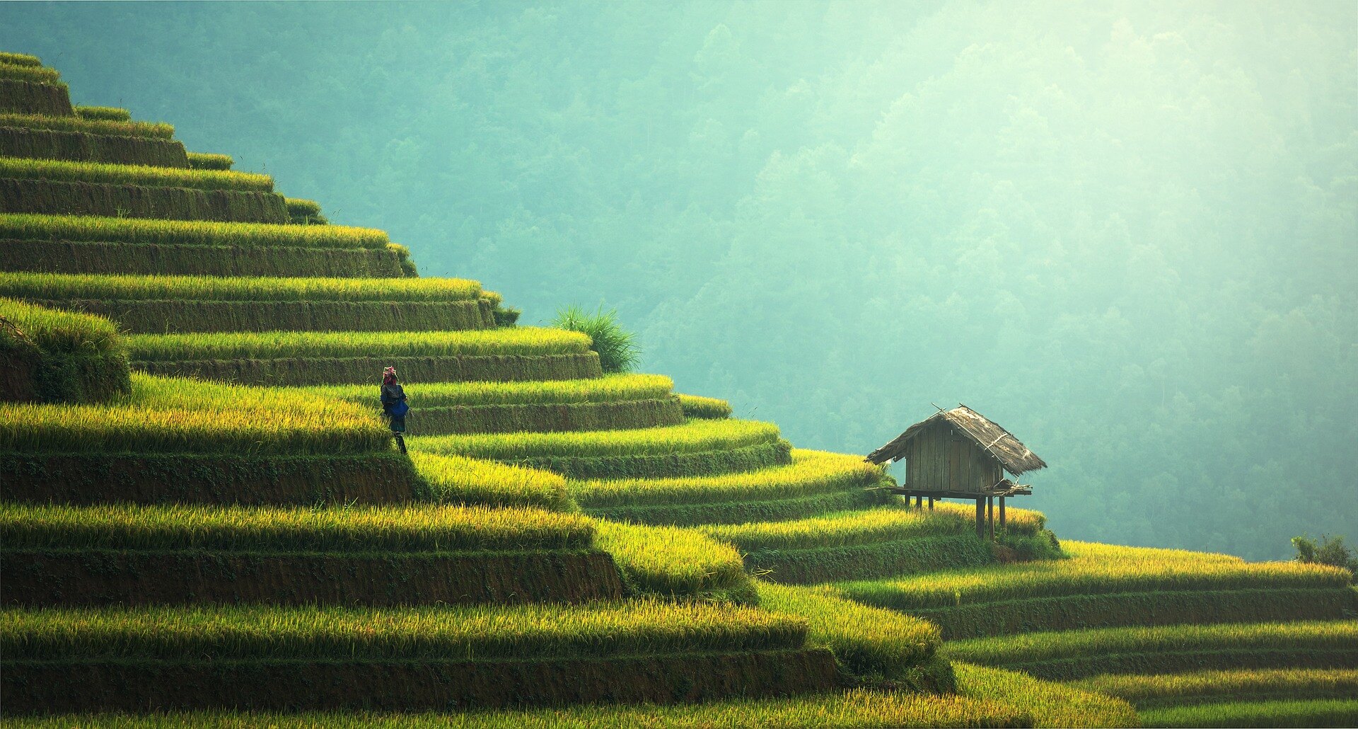 圖文圖片