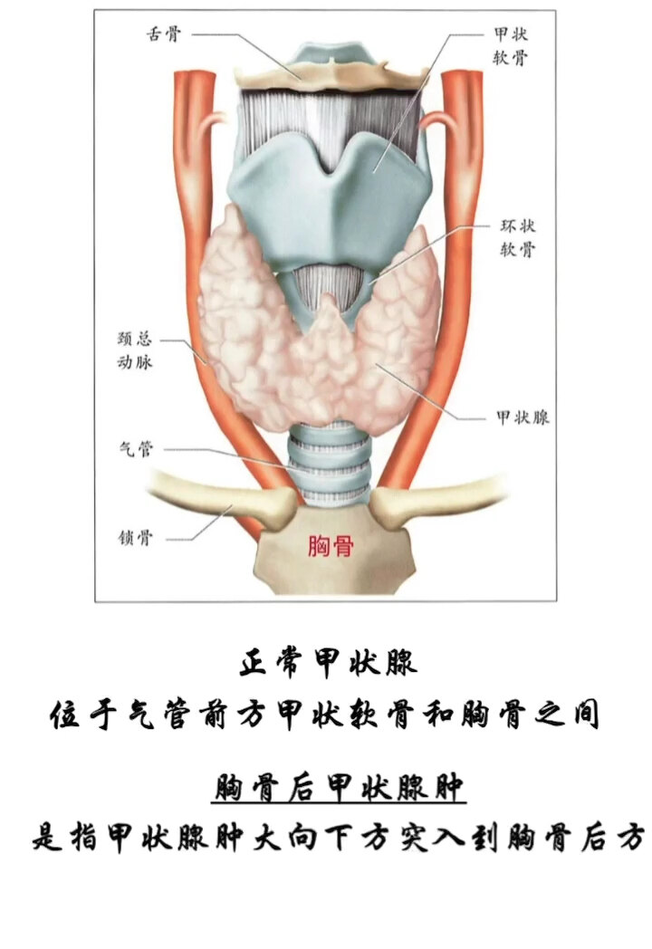 默认图片