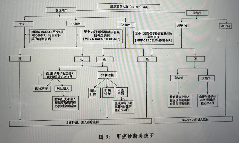 图文图片