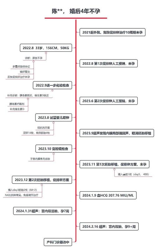 陈茜琛流程图.jpg