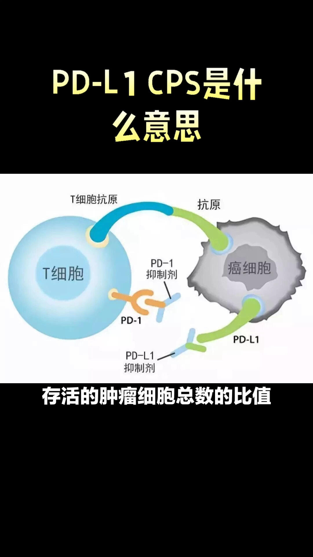 默认图片