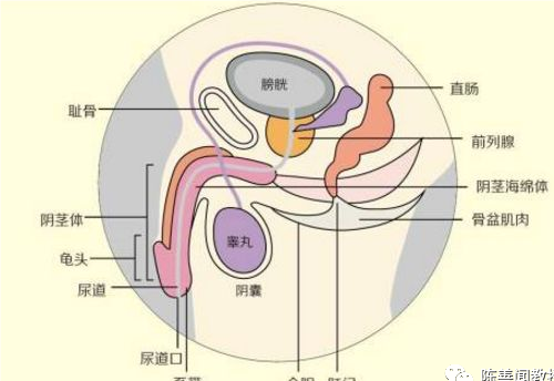 圖文圖片