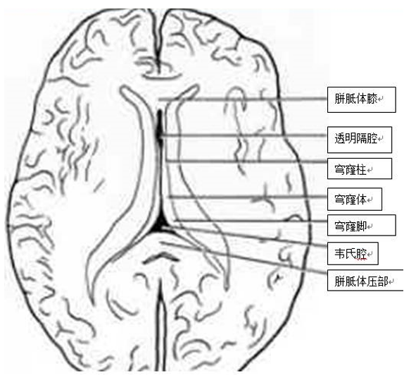 圖文圖片