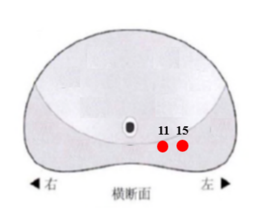 圖文圖片