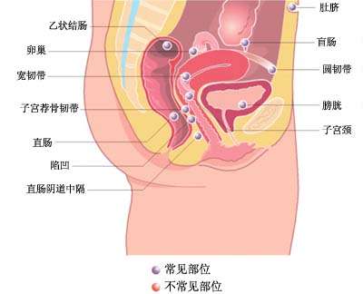 子宫在肚脐哪个位置图片