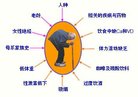 骨质疏松症防治需要广泛重视_骨质疏松_疾病介绍_介绍 - 好大夫在线