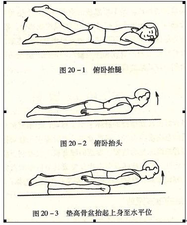 腰椎压缩性骨折锻炼图图片