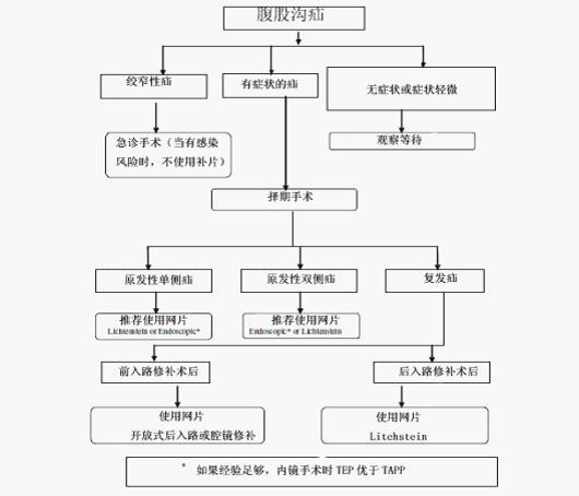 欧洲成人腹股沟疝治疗指南 