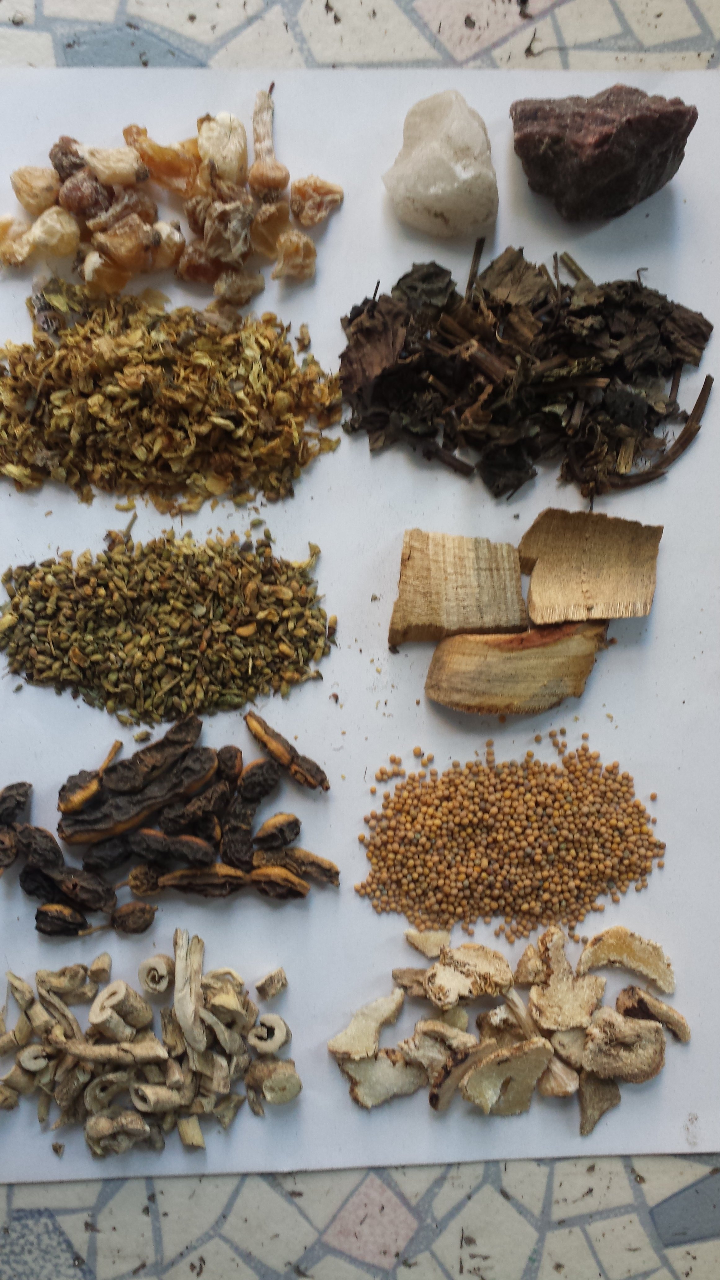 中药辨识练习(42) - 好大夫在线