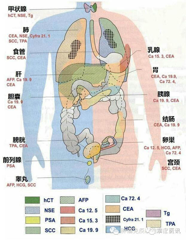 暂无