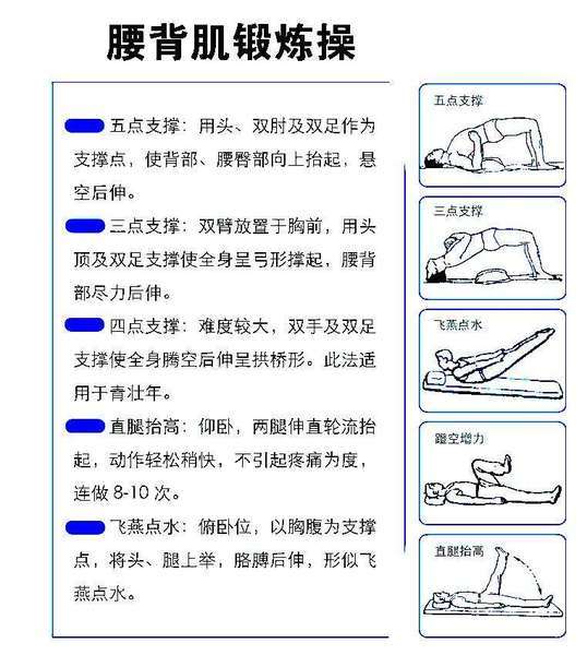 腰背肌功能锻炼方法 