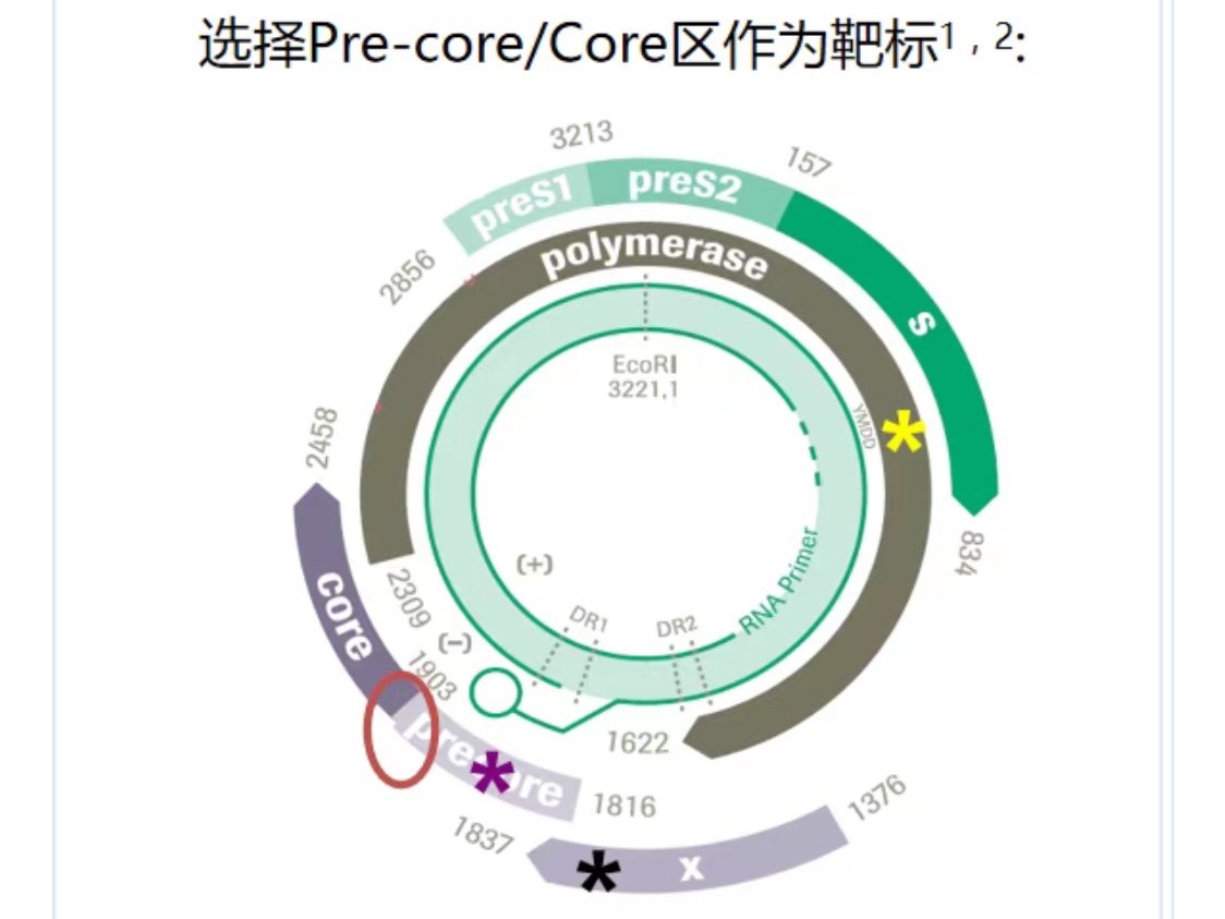暂无