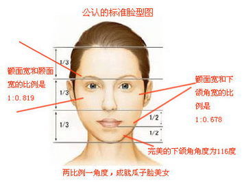 公认标准脸型图jpg