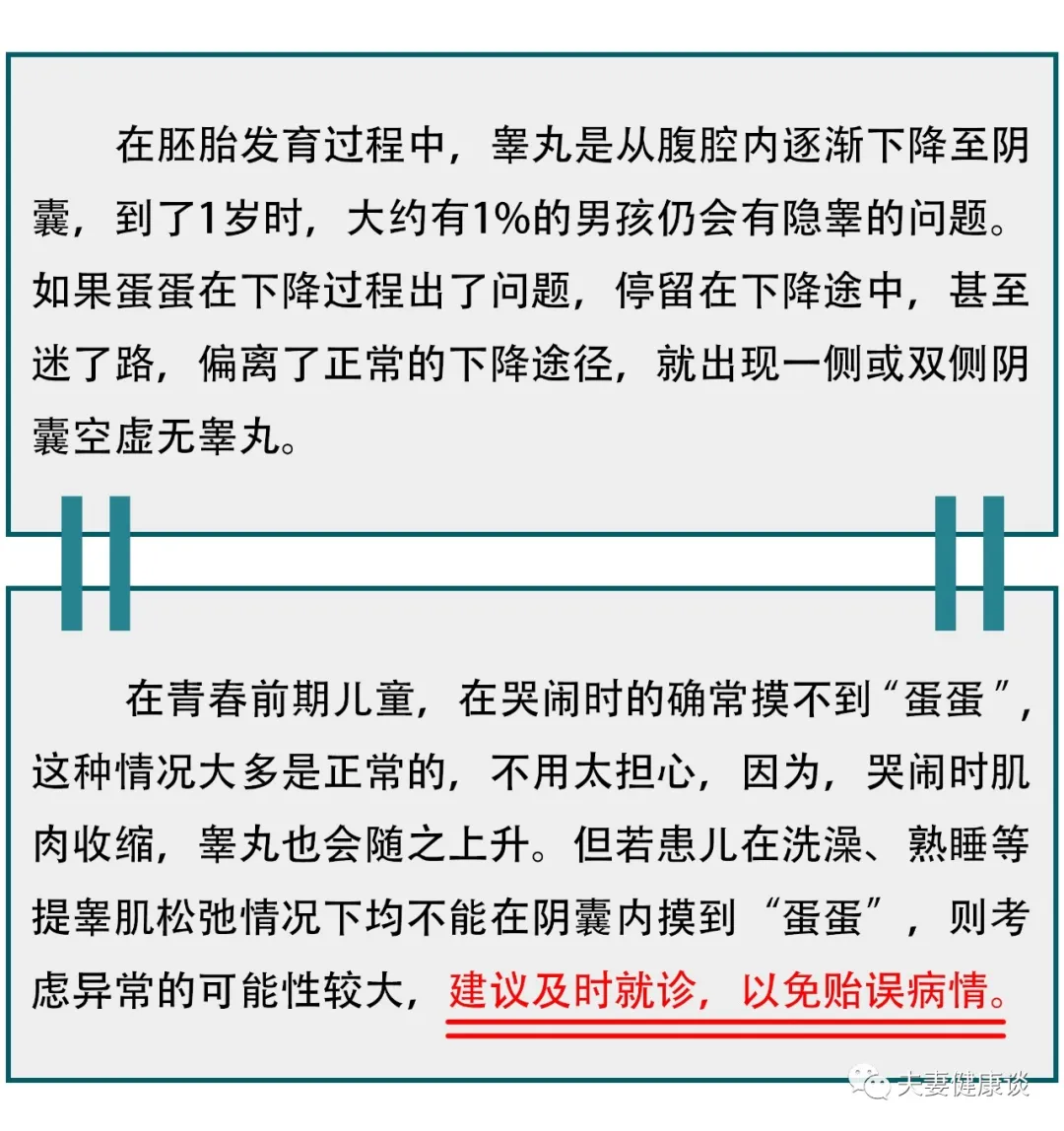 隐睾:迷路蛋蛋要注意,错过治疗悔莫及_隐睾_症状表现_治疗方式 - 好