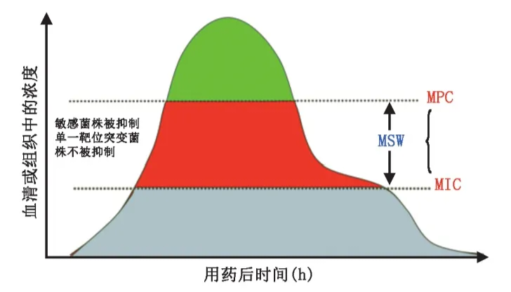 圖文圖片