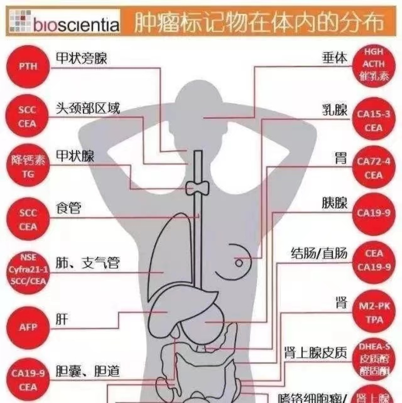 图文图片