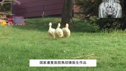 536_302gif 动态图 动图