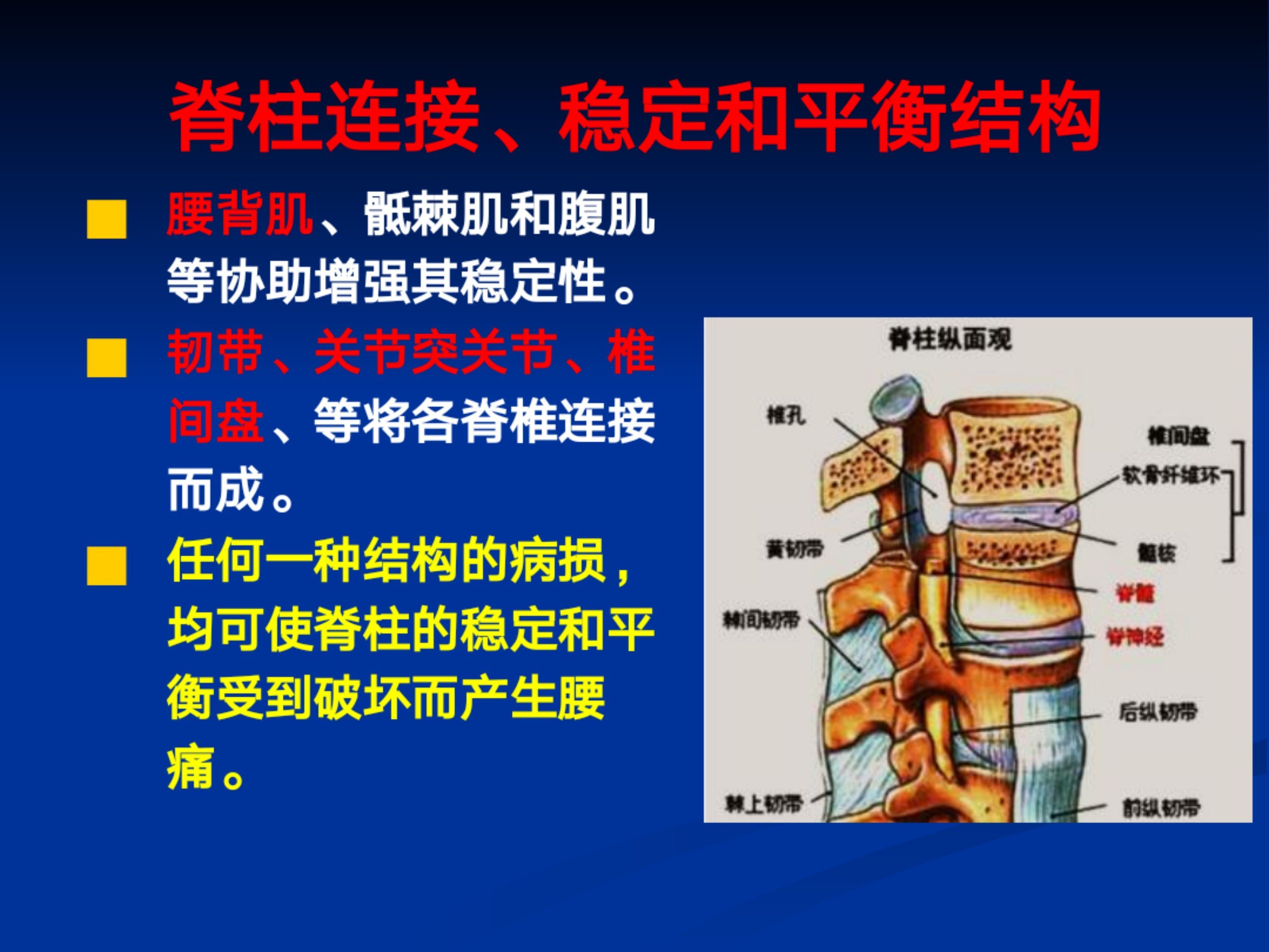 浅谈腰痛(1)_7.jpg