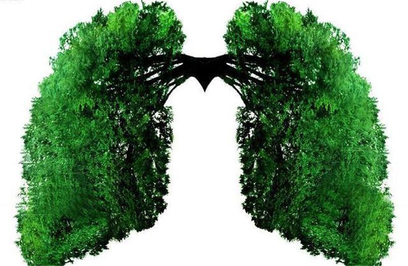 如何把歌变为曲谱(2)