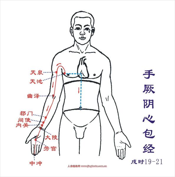 手少阴心经分布图片