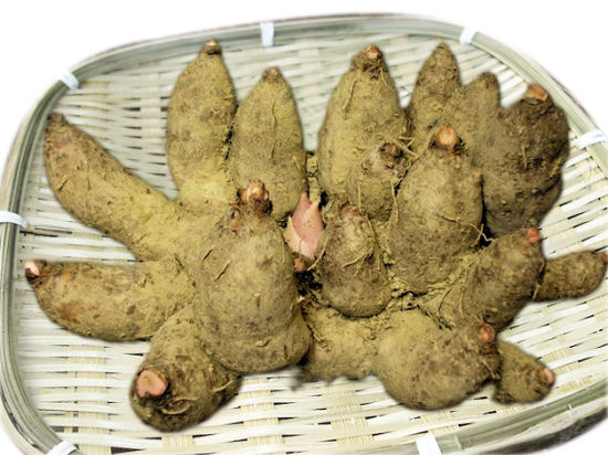 健脾益胃的广东人参鸡爪芋