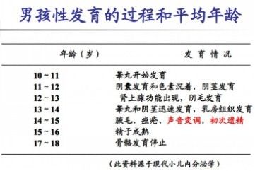 男孩性发育过程及平均年龄