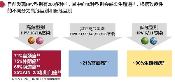 人体免疫力是hpv唯一的克星 但是绝大多数人不知道最强大 问医院
