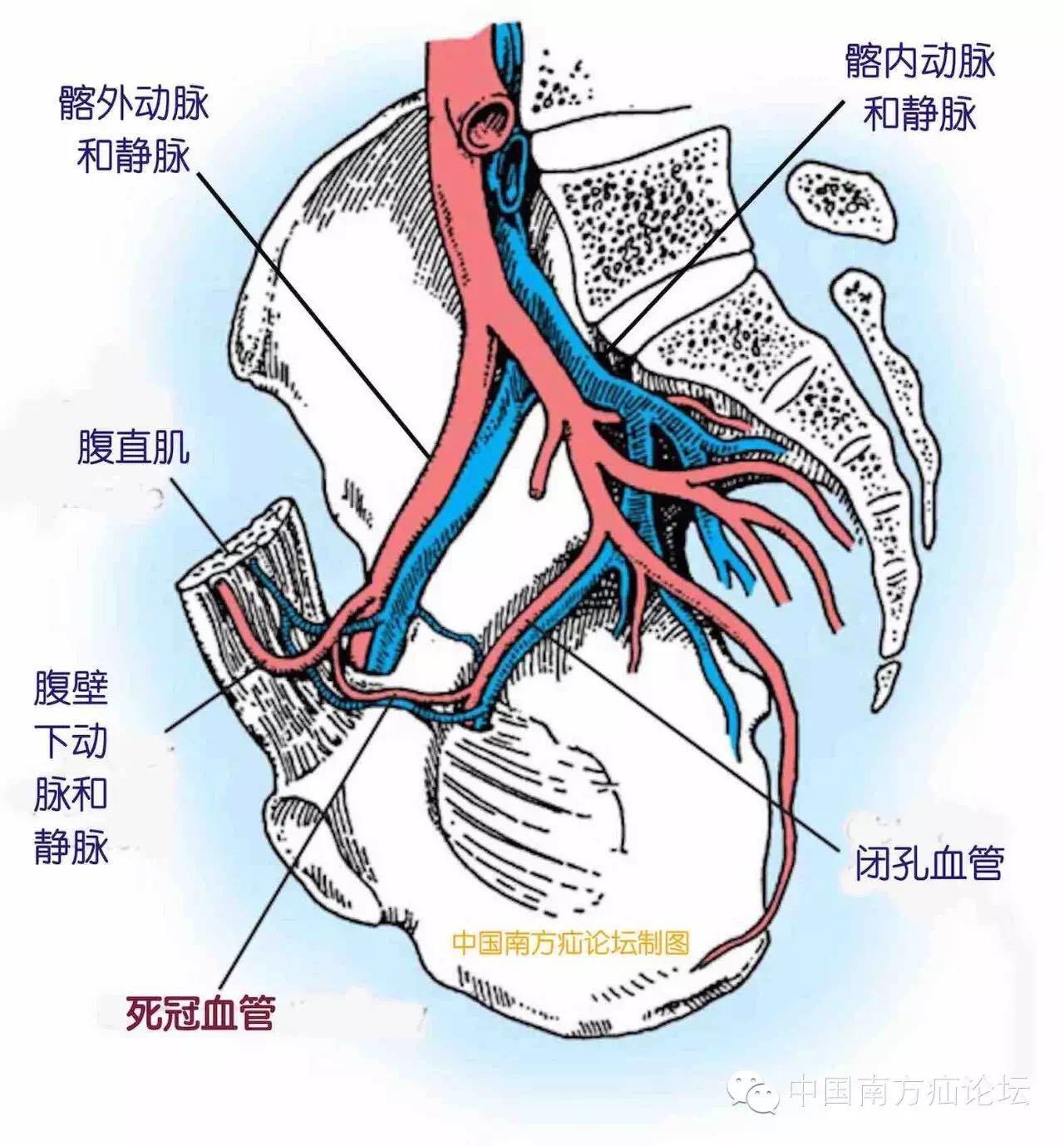 首頁 疾病知識 下載客戶端 中山六院 江志鵬 文章列表 疼痛 三角位於