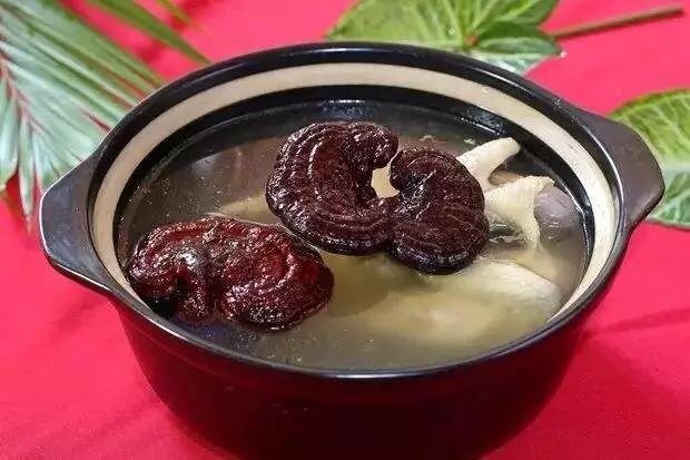 靈芝和什麼食材一起煲湯好這個搭配能補氣養血寧心安神