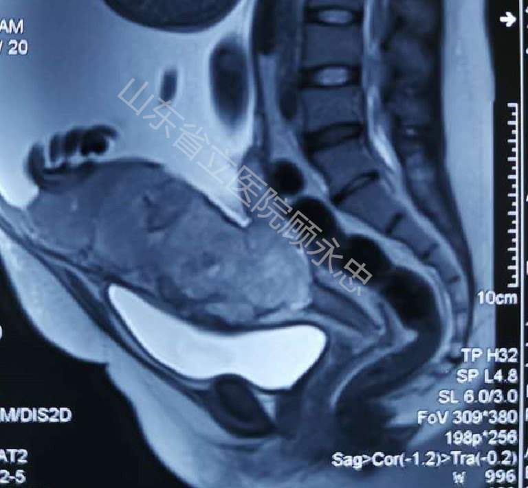 mmexport1560081239284.jpg